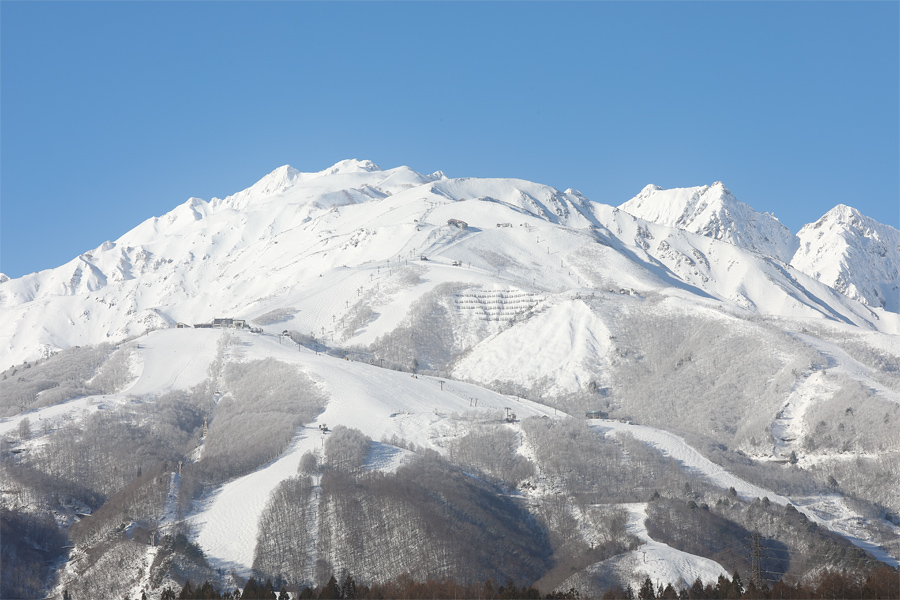 HAKUBA VALLEY 券