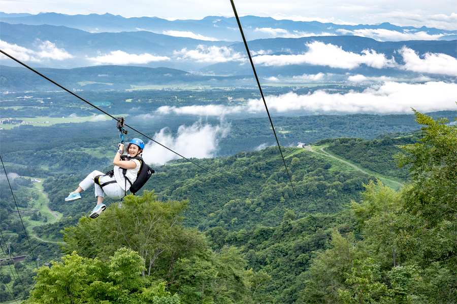 Lotte Arai / Zip Tour