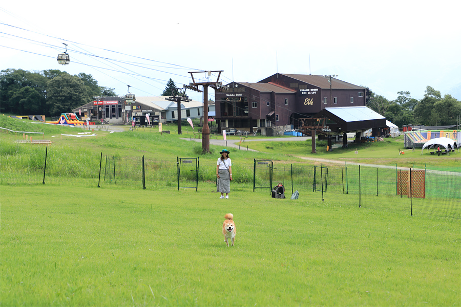 Tsugaike Nature Park / Sunny