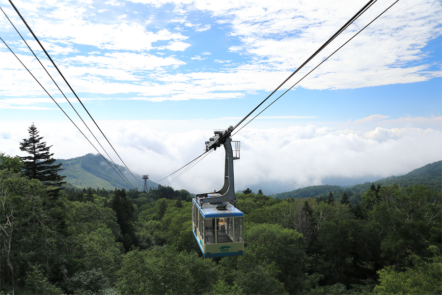 Tsugaike Nature Park / Partly Cloudy