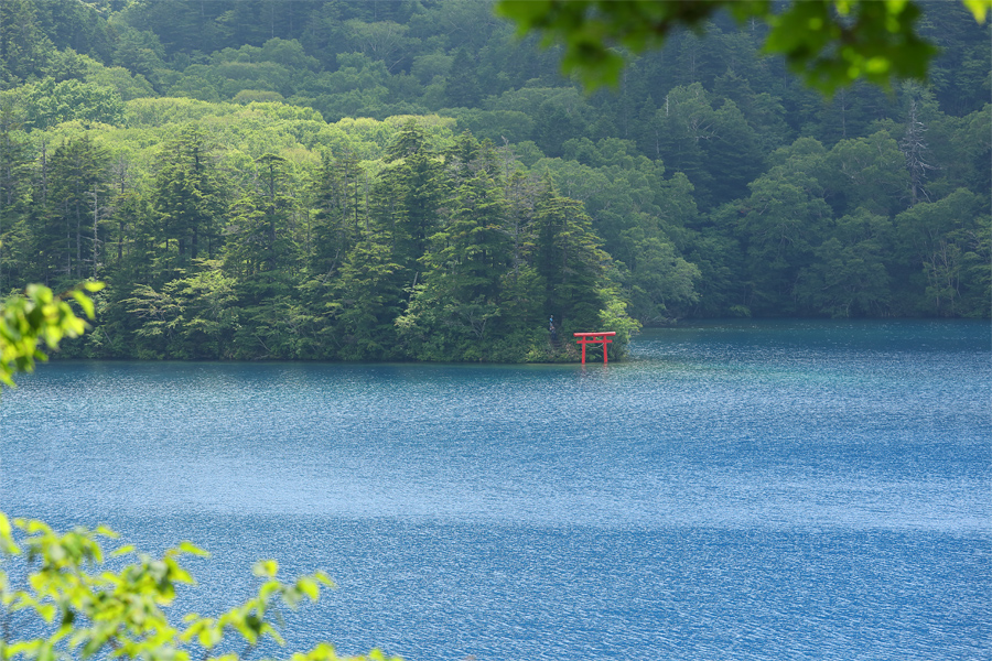 池めぐりコース 3 / 晴