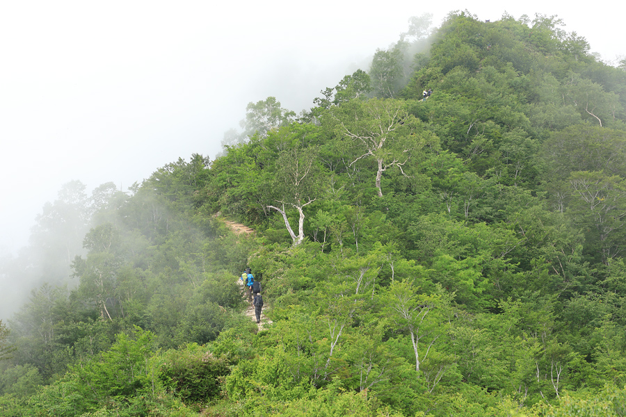 小遠見山 / 曇晴