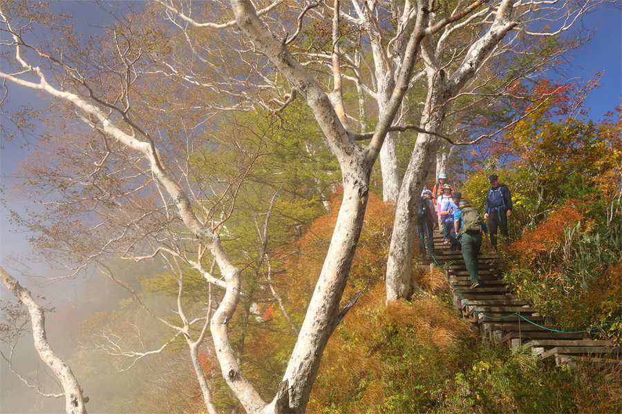 Tsugaike Nature Park / Sunny