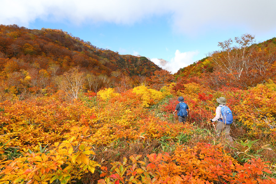 Hakuba Goryu / Partly Cloudy