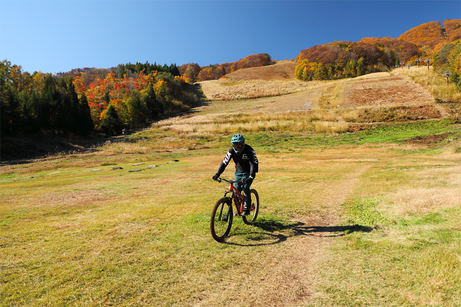 Hakuba Iwatake / Sunny