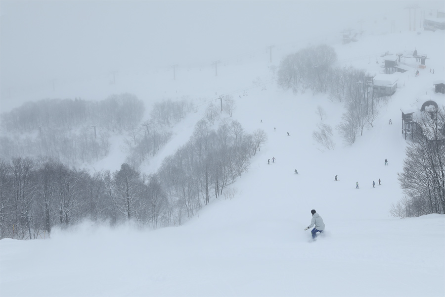 200cm / 雪