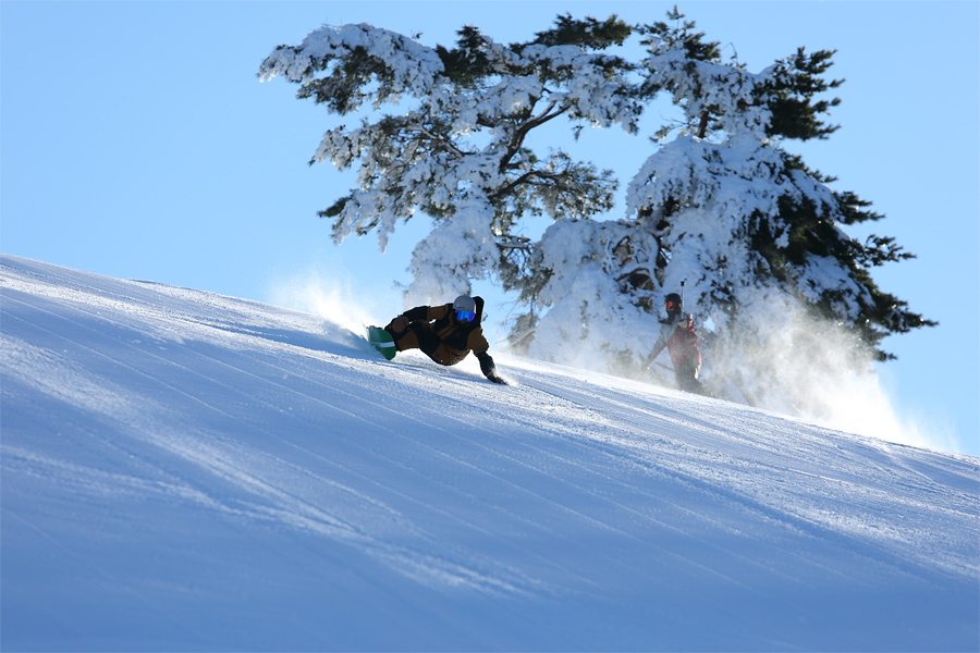 55cm / Mostly Sunny