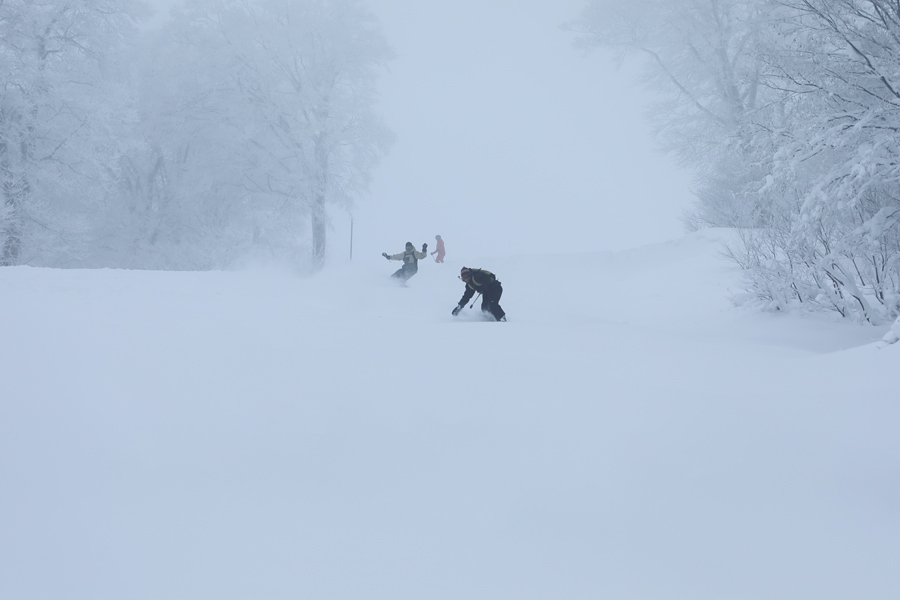 155cm / 雪