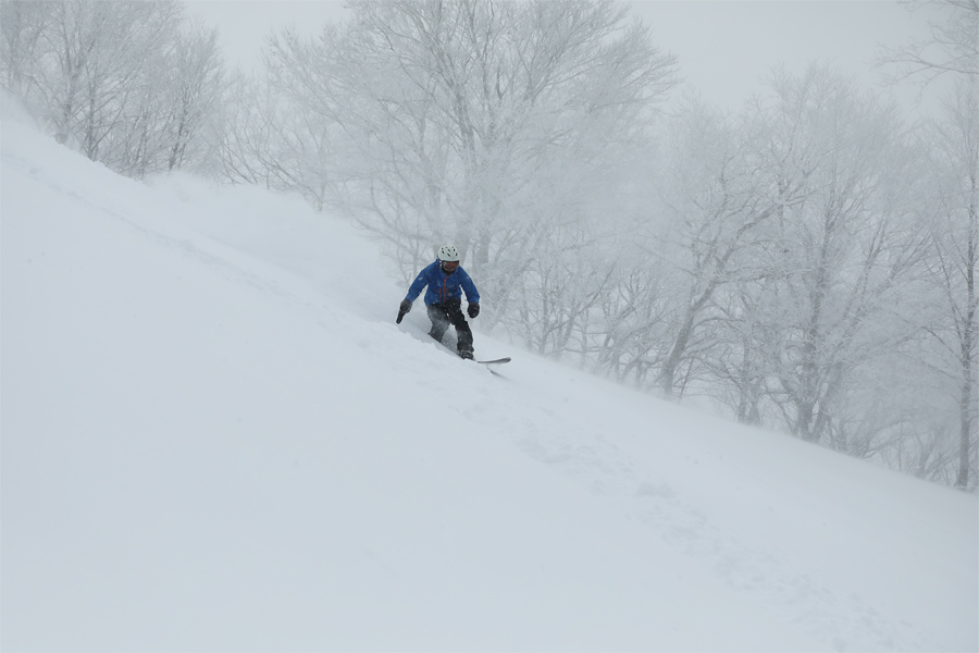 275cm / 雪曇