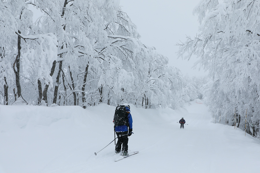 300cm / 雪