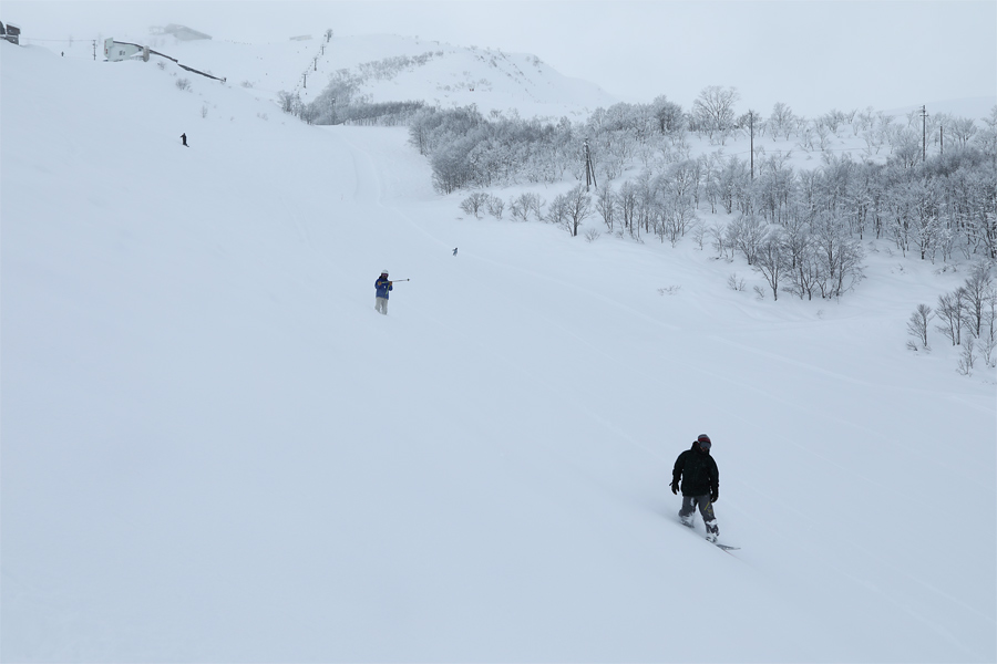 280cm / 雪