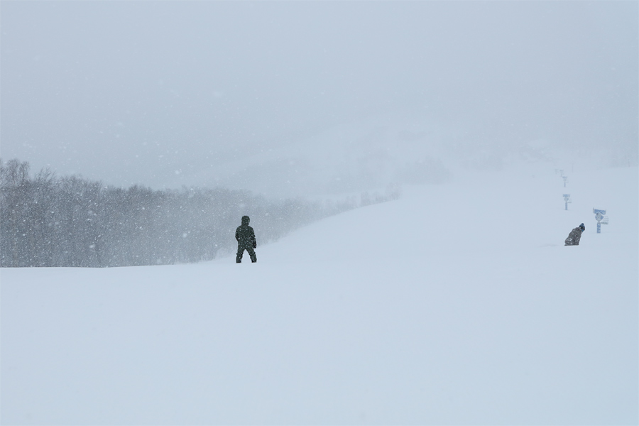 259cm / 雪