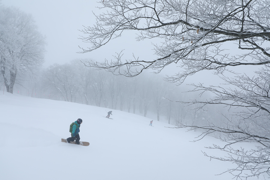 240cm / 雪曇