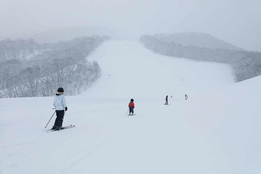 245cm / 雪