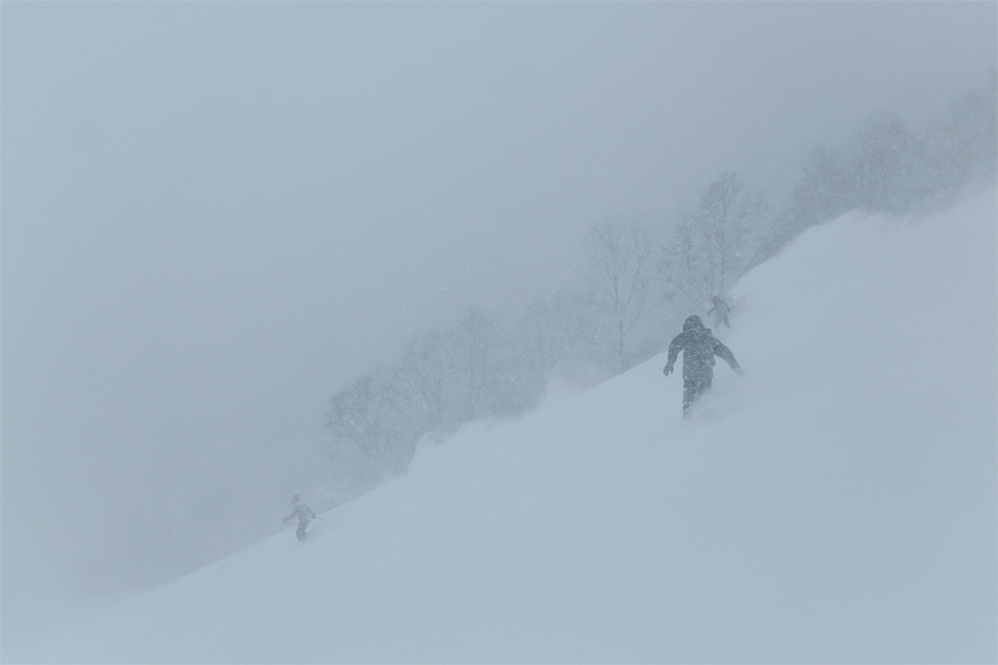 460cm / 雪