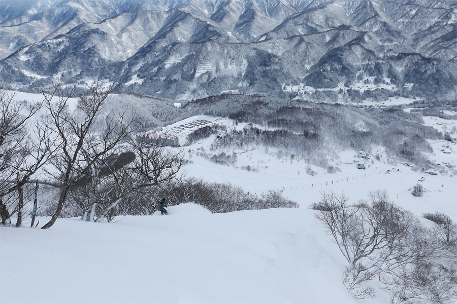 450cm / 雪