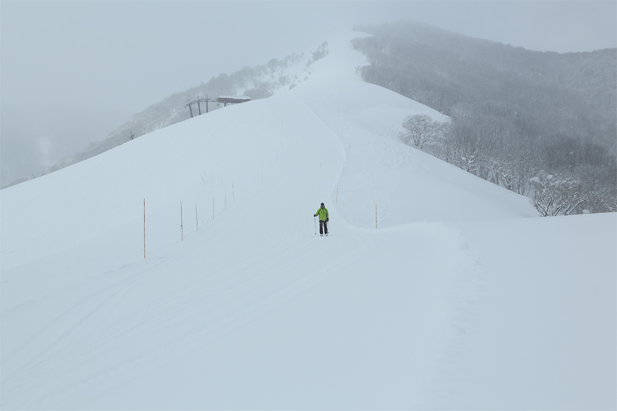 450cm / 雪