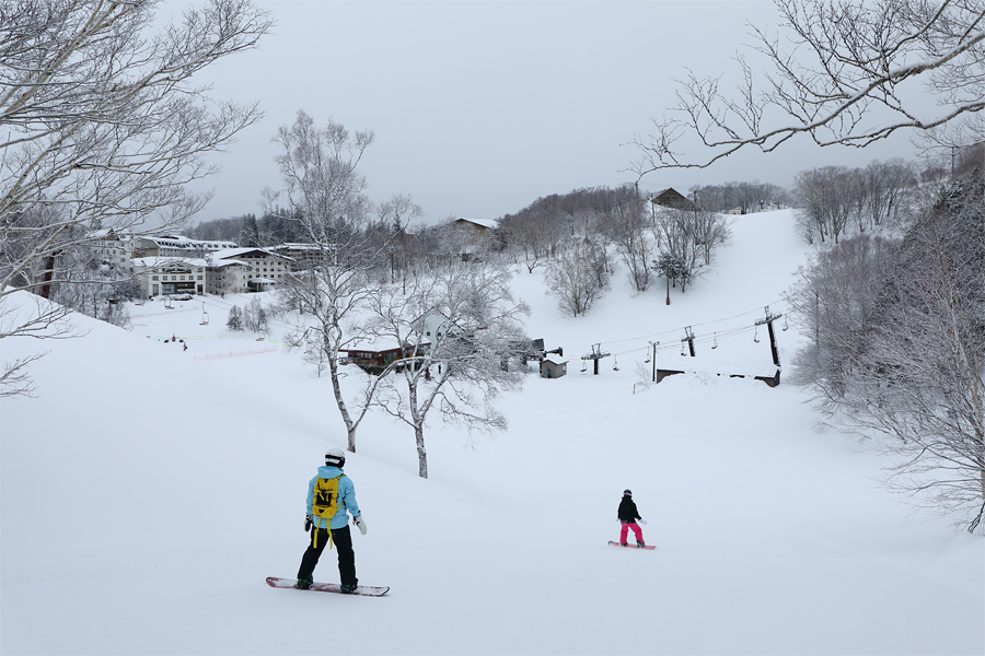 250cm / 雪