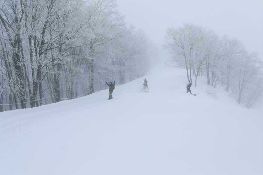 385cm / 雪